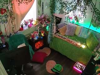 voyeurcam-veccasalt-01 webcam