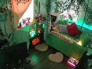 voyeurcam-veccasalt-01 webcam