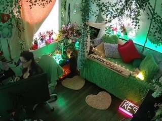 voyeurcam-veccasalt-01 webcam