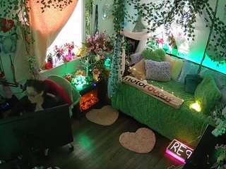 voyeurcam-veccasalt-01 webcam