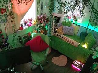 voyeurcam-veccasalt-01 webcam