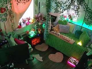 voyeurcam-veccasalt-01 webcam