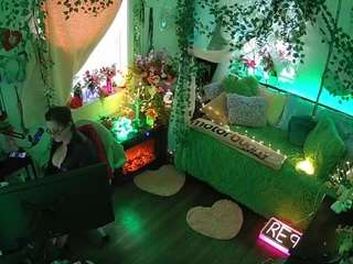 voyeurcam-veccasalt-01 webcam