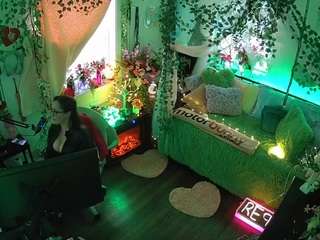 voyeurcam-veccasalt-01 webcam