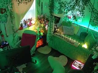 voyeurcam-veccasalt-01 webcam