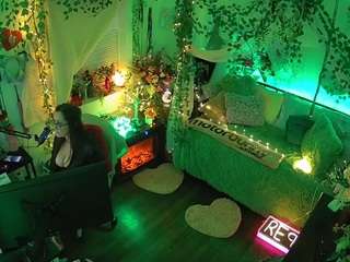 voyeurcam-veccasalt-01 webcam