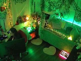 voyeurcam-veccasalt-01 webcam