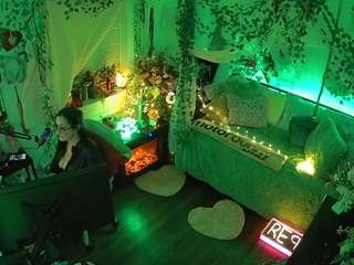 voyeurcam-veccasalt-01