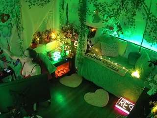 voyeurcam-veccasalt-01