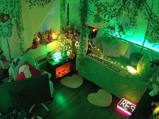 voyeurcam-veccasalt-01 webcam