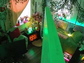 voyeurcam-veccasalt-01 webcam