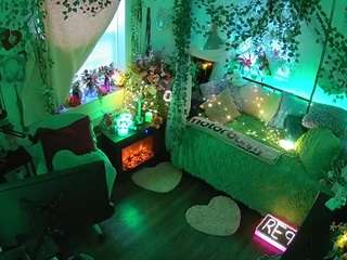 voyeurcam-veccasalt-01 webcam