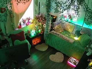 voyeurcam-veccasalt-01 webcam