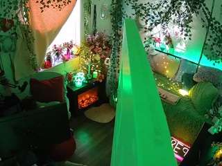 voyeurcam-veccasalt-01 webcam