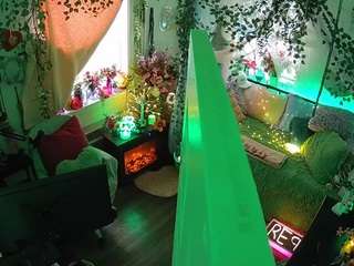 voyeurcam-veccasalt-01 webcam