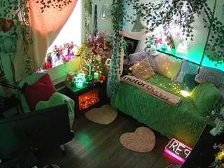 voyeurcam-veccasalt-01 webcam