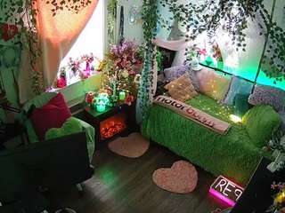 voyeurcam-veccasalt-01 webcam