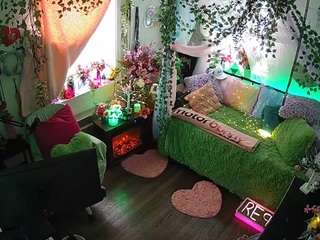 voyeurcam-veccasalt-01 webcam