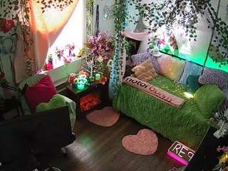 voyeurcam-veccasalt-01 webcam