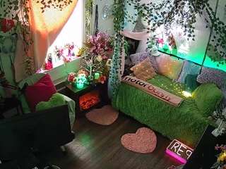 voyeurcam-veccasalt-01 webcam