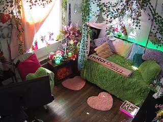 voyeurcam-veccasalt-01 webcam