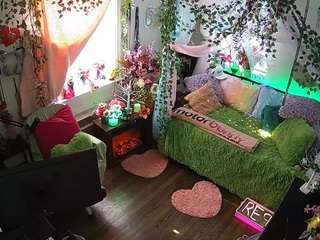 voyeurcam-veccasalt-01 webcam