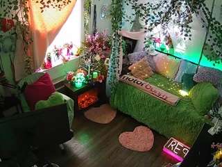 voyeurcam-veccasalt-01 webcam