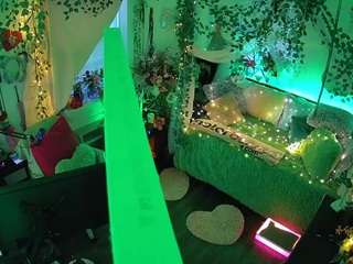 voyeurcam-veccasalt-01 webcam