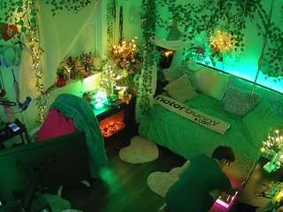 voyeurcam-veccasalt-01 webcam