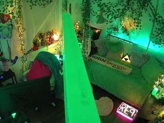 voyeurcam-veccasalt-01 webcam