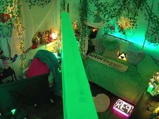 voyeurcam veccasalt 01