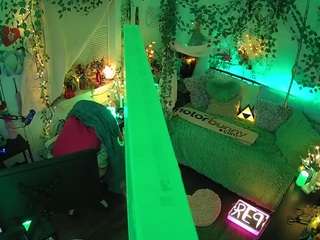 voyeurcam-veccasalt-01 webcam