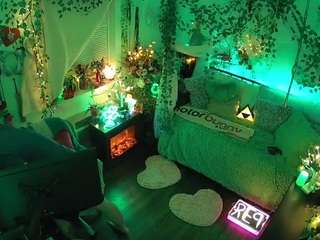 voyeurcam-veccasalt-01 webcam