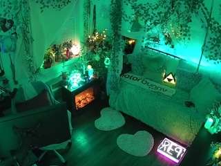 voyeurcam-veccasalt-01 webcam