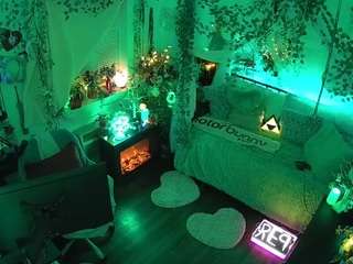 voyeurcam-veccasalt-01 webcam