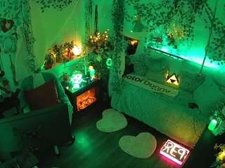 voyeurcam-veccasalt-01 webcam