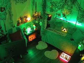 voyeurcam-veccasalt-01 webcam