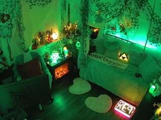 voyeurcam-veccasalt-01 webcam