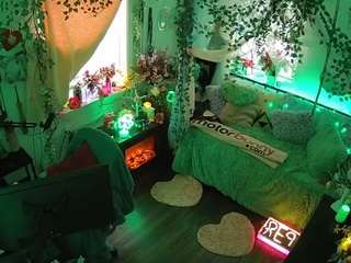 voyeurcam-veccasalt-01