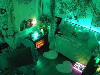 voyeurcam veccasalt 01