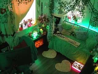 voyeurcam veccasalt 01