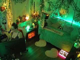 voyeurcam-veccasalt-01 webcam