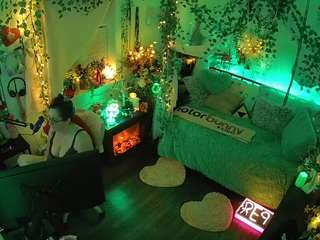 voyeurcam-veccasalt-01 webcam