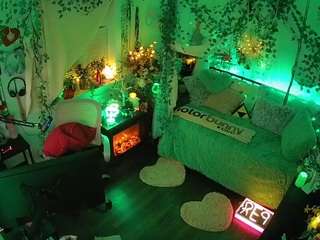 voyeurcam-veccasalt-01 webcam