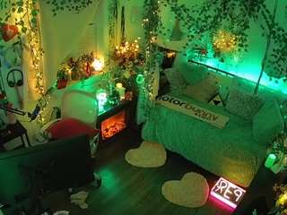 voyeurcam-veccasalt-01 webcam