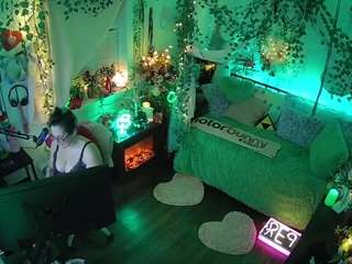 voyeurcam-veccasalt-01 webcam