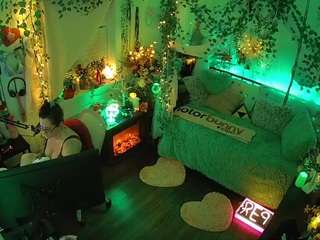 voyeurcam-veccasalt-01 webcam