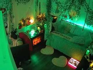 voyeurcam-veccasalt-01 webcam