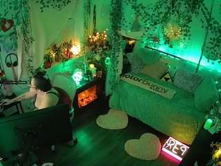 voyeurcam-veccasalt-01