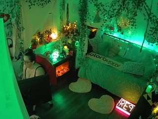 voyeurcam-veccasalt-01 webcam